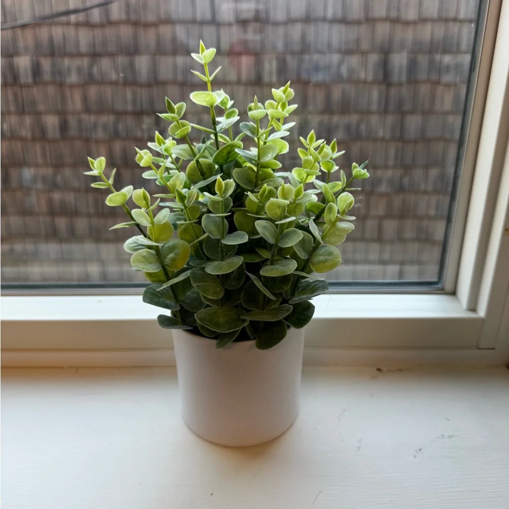 Target Faux Greenery in White Planter